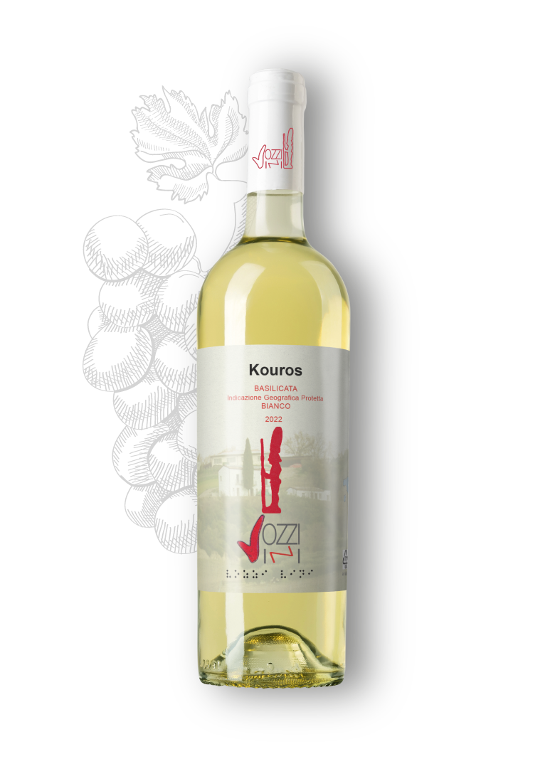 vino bianco kouros igp basilicata da uve biologiche